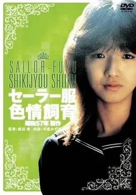 逆光追踪 动作高清电影在线观看